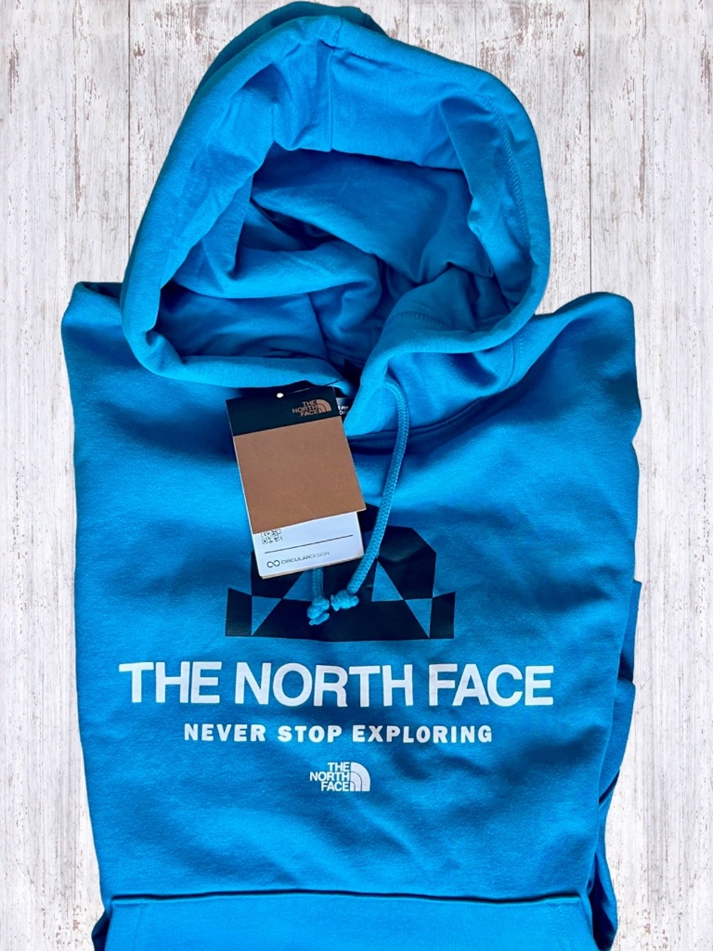 NWT The North Face Evolution BTS Hoodie Medium - Picture 5 of 9